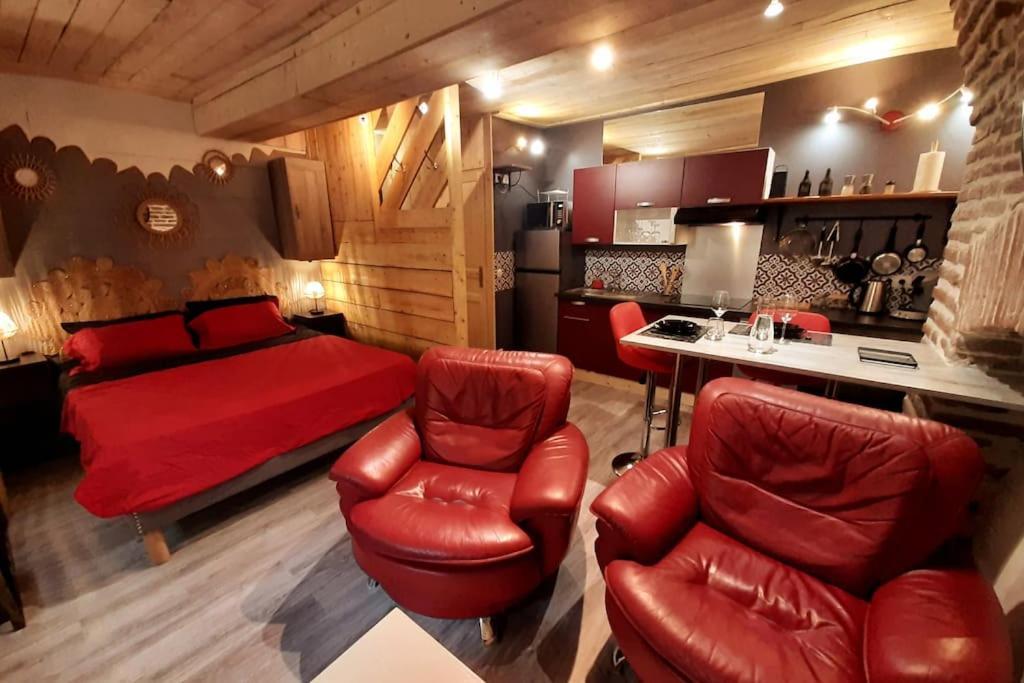 Studio Et Spa Privatif Le Puits De La Grace Albi Exterior foto